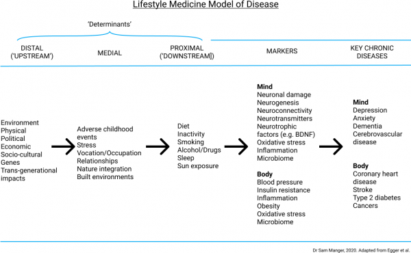 Lifestyle Medicine Model of Disease