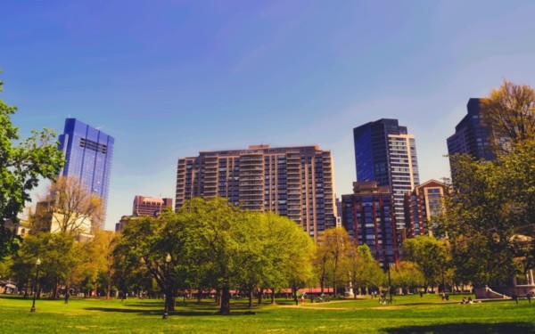 View across parklands to city