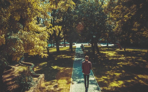 Person walking on path in park