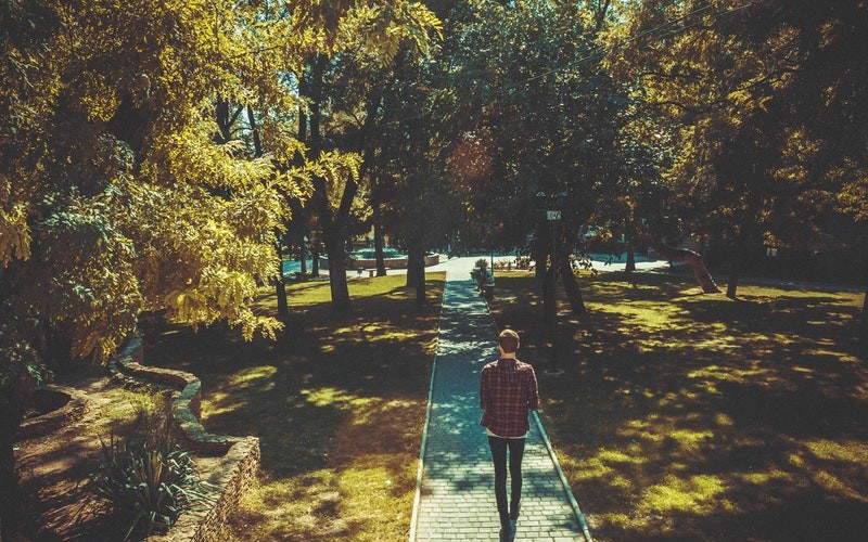 Person walking on path in park